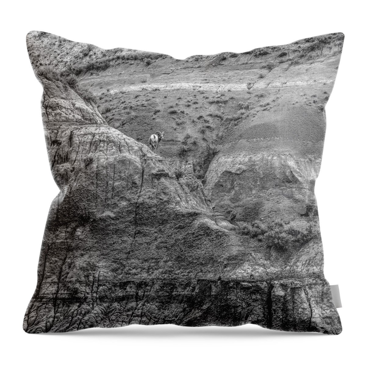 Disk1215 Throw Pillow featuring the photograph Bighorn Sheep Ram On Cliff by Tim Fitzharris