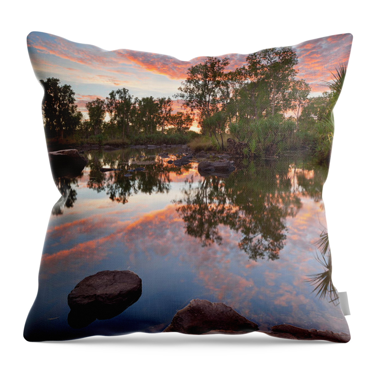 Billabong Throw Pillow featuring the photograph Billabong Or Small Pond At Manning by Sara winter