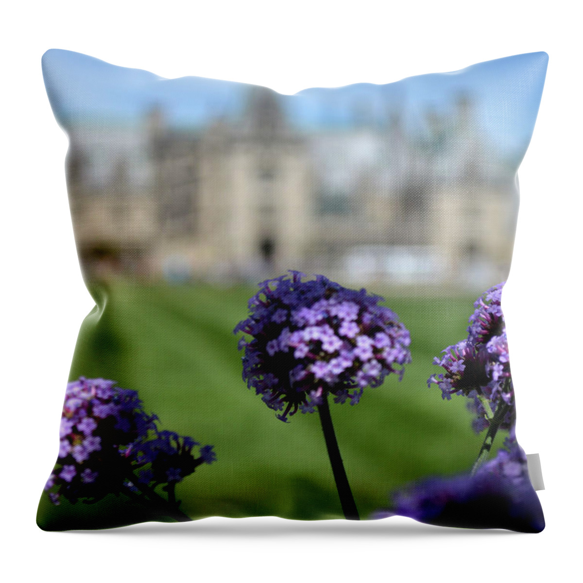 Biltmore Throw Pillow featuring the photograph Biltmore Beauty by Lisa Burbach