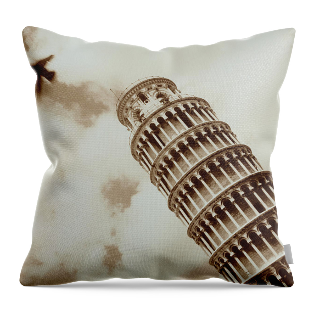 One Animal Throw Pillow featuring the photograph Bird And Leaning Tower Of Pisa by Kritina Lee Knief