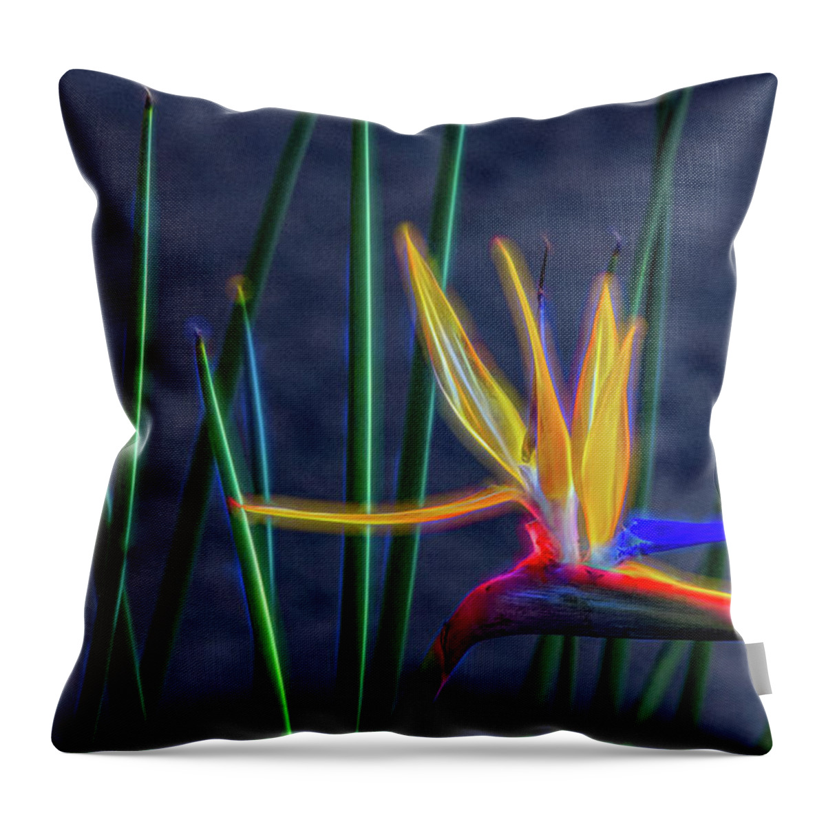 Bird Of Paradise Throw Pillow featuring the photograph Bird of Paradise, Electrified Abstract by Marcy Wielfaert