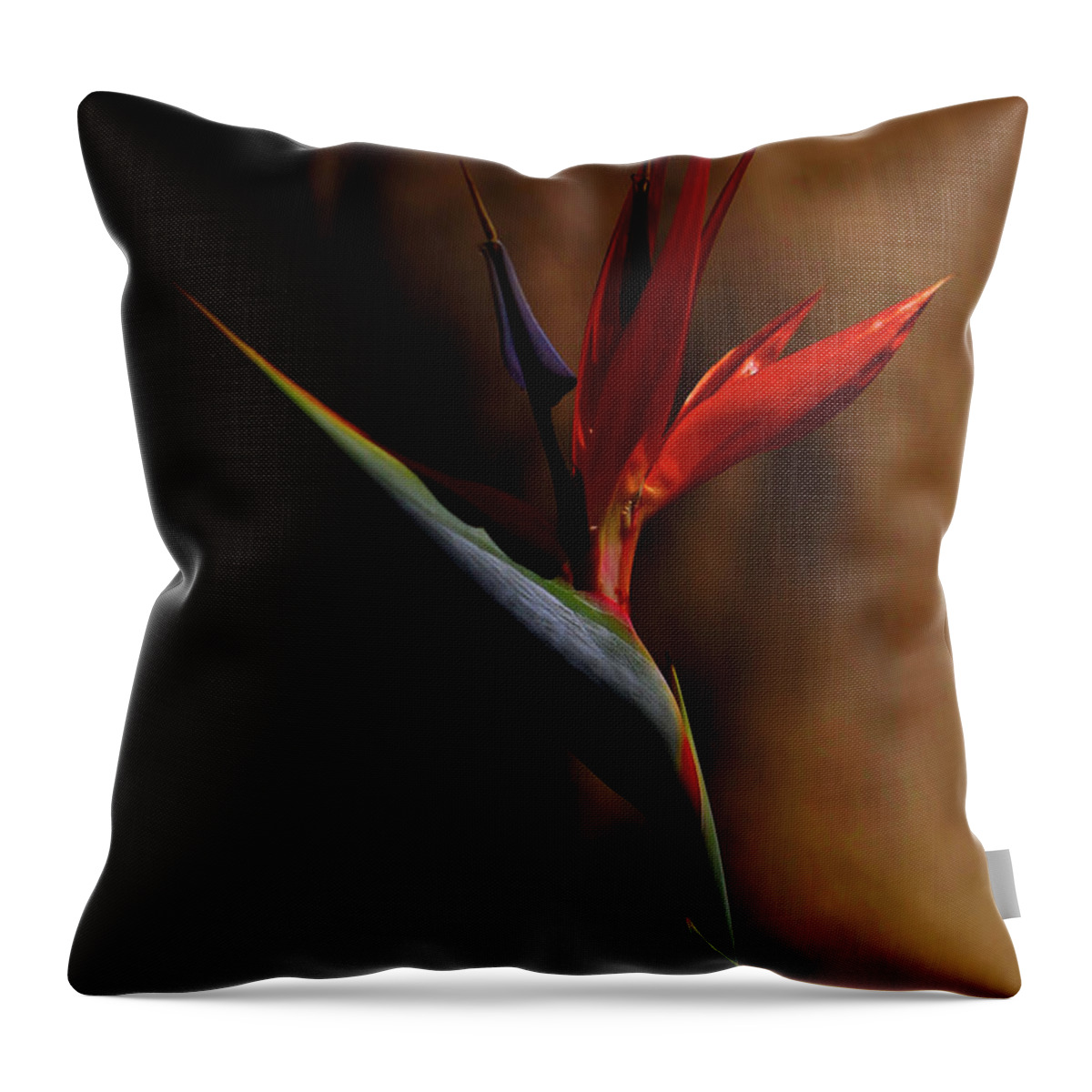 Bird Of Paradise Throw Pillow featuring the photograph Bird Of Paradise by Kandy Hurley