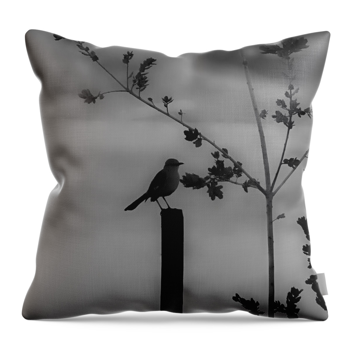 Bird Throw Pillow featuring the photograph Bird on a Post by Alison Frank