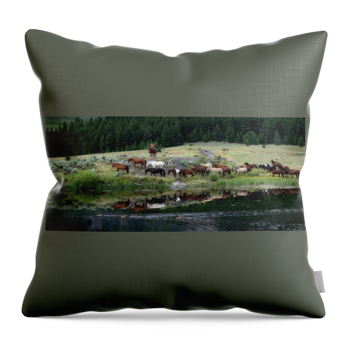 Cowboy Throw Pillow featuring the photograph Birds off a Feather by Pamela Steege