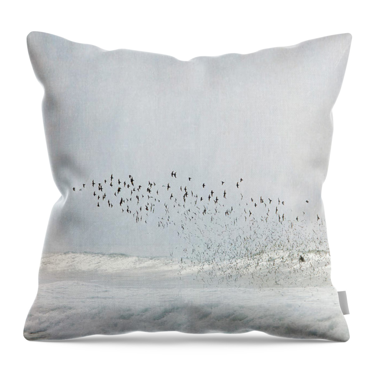 Animal Themes Throw Pillow featuring the photograph Birds With Sea by Susangaryphotography