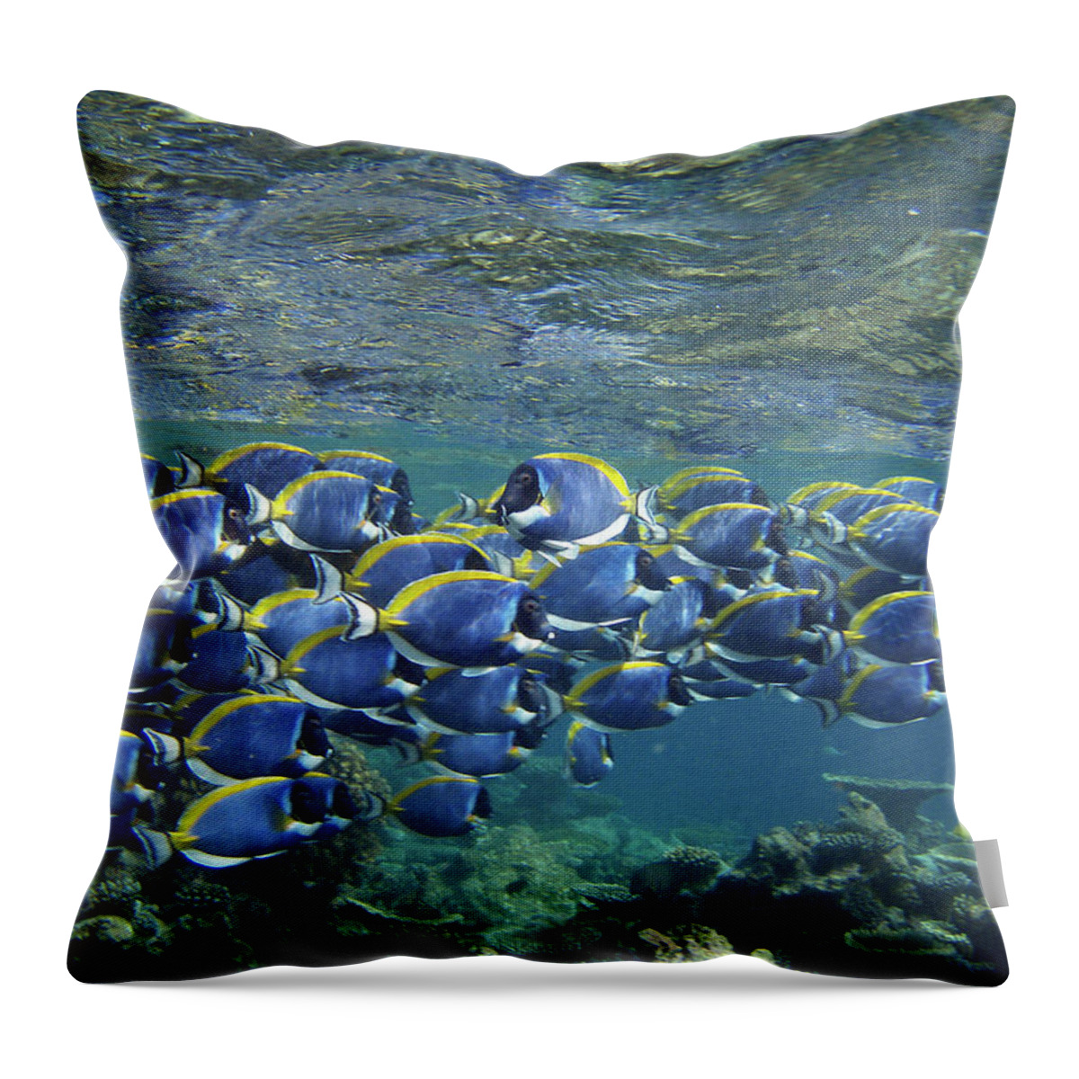 Underwater Throw Pillow featuring the photograph Biyadoo, South Male Atoll, Maldives by Federica Grassi