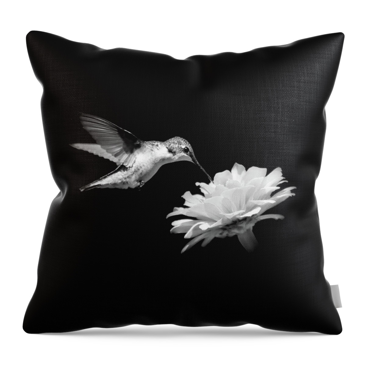 Hummingbird Throw Pillow featuring the photograph Black and White Hummingbird and Flower by Christina Rollo