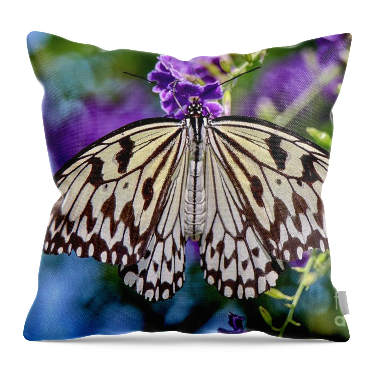 Closeup Throw Pillow featuring the photograph Black and White Paper Kite Butterfly by Susan Rydberg