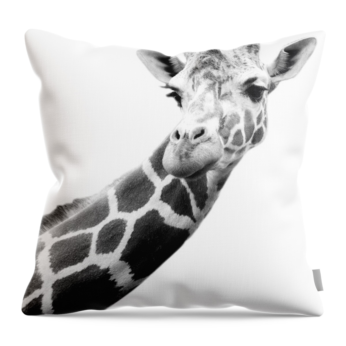 Long Throw Pillow featuring the photograph Black And White Portrait Of A Giraffe by Design Pics