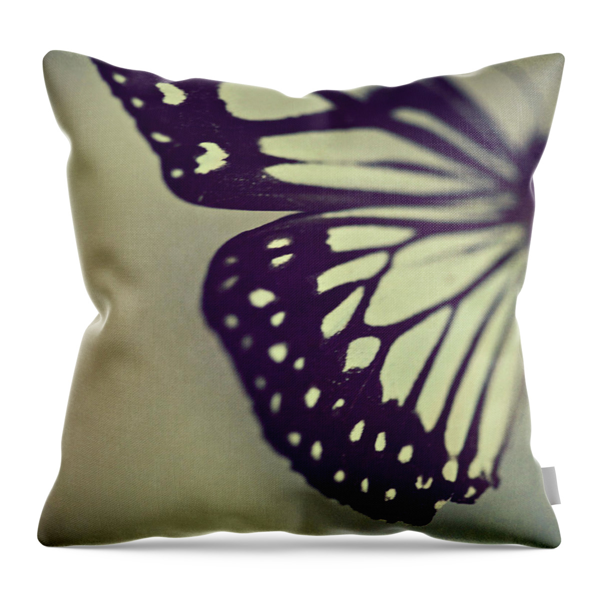 Insect Throw Pillow featuring the photograph Black And White Wings by Amelia Kay Photography