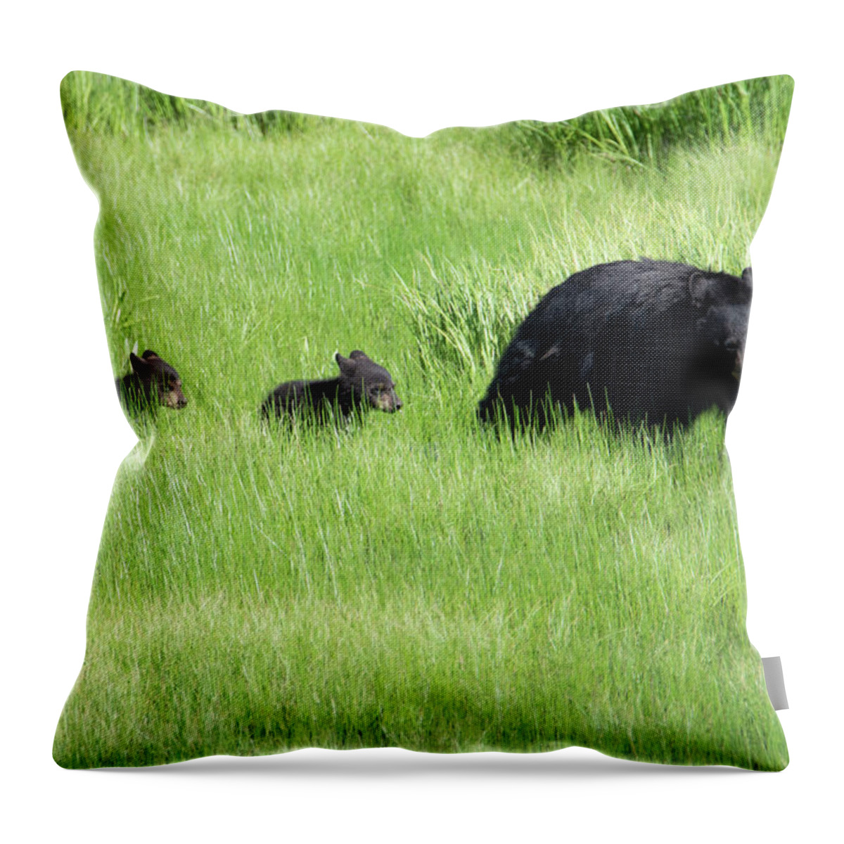 Bear Throw Pillow featuring the photograph Black Bear and cubs by Patrick Nowotny