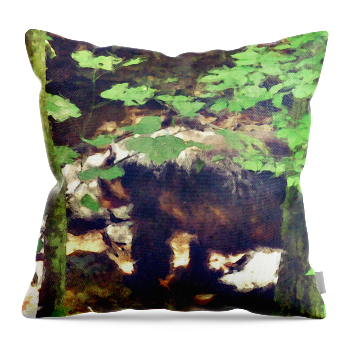 Bear Throw Pillow featuring the digital art Black Bear In Woods by Phil Perkins