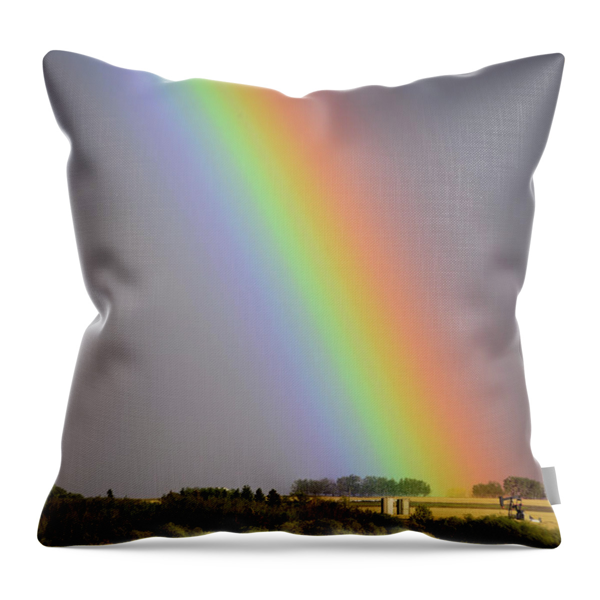 2018-09-24 Throw Pillow featuring the photograph Black Gold at the end of the Rainbow by Phil And Karen Rispin