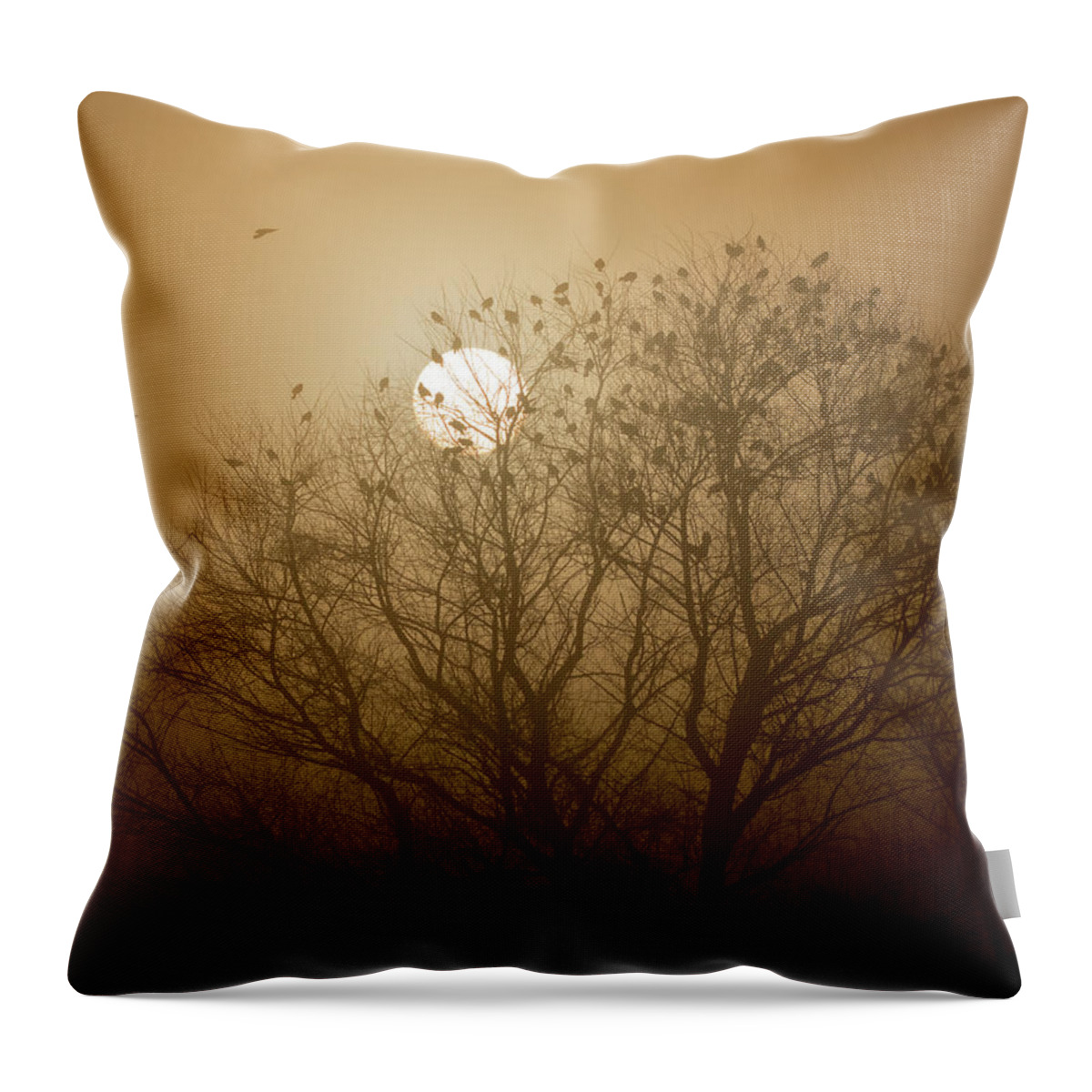 California Throw Pillow featuring the photograph Blackbird Sunrise by Cheryl Strahl