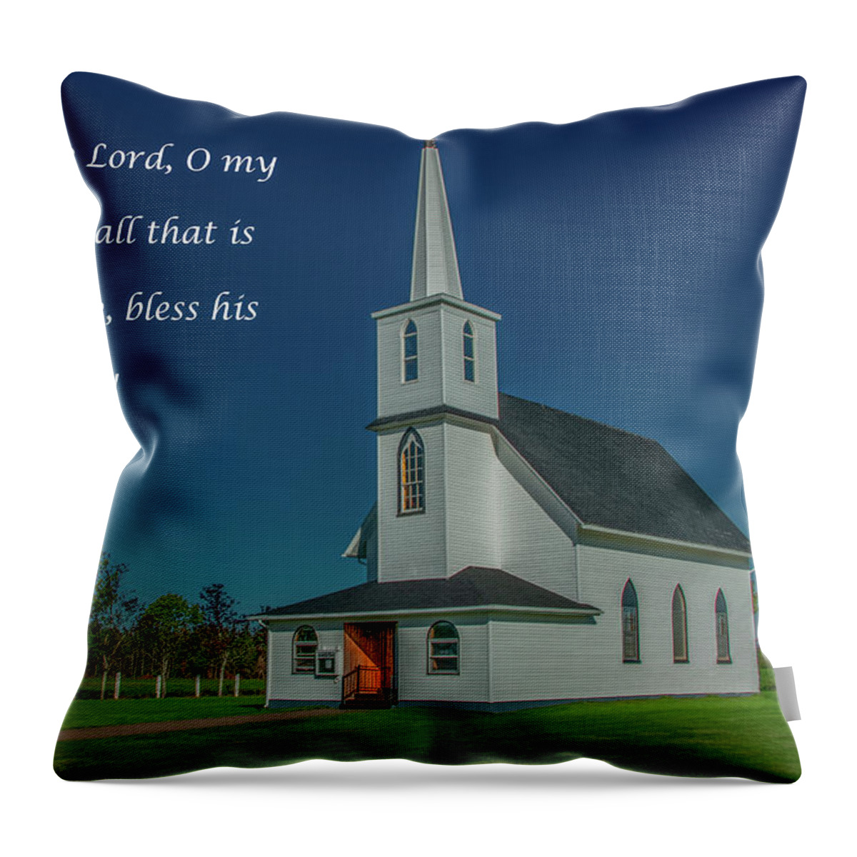 Pei Throw Pillow featuring the photograph Blessings Abound by Marcy Wielfaert