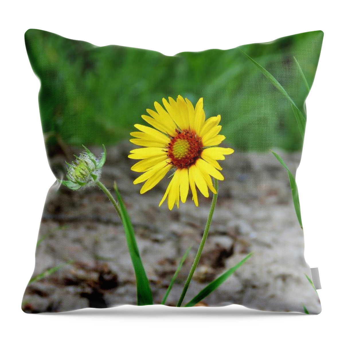 Flower Throw Pillow featuring the photograph Bloom and Waiting by Joan Stratton