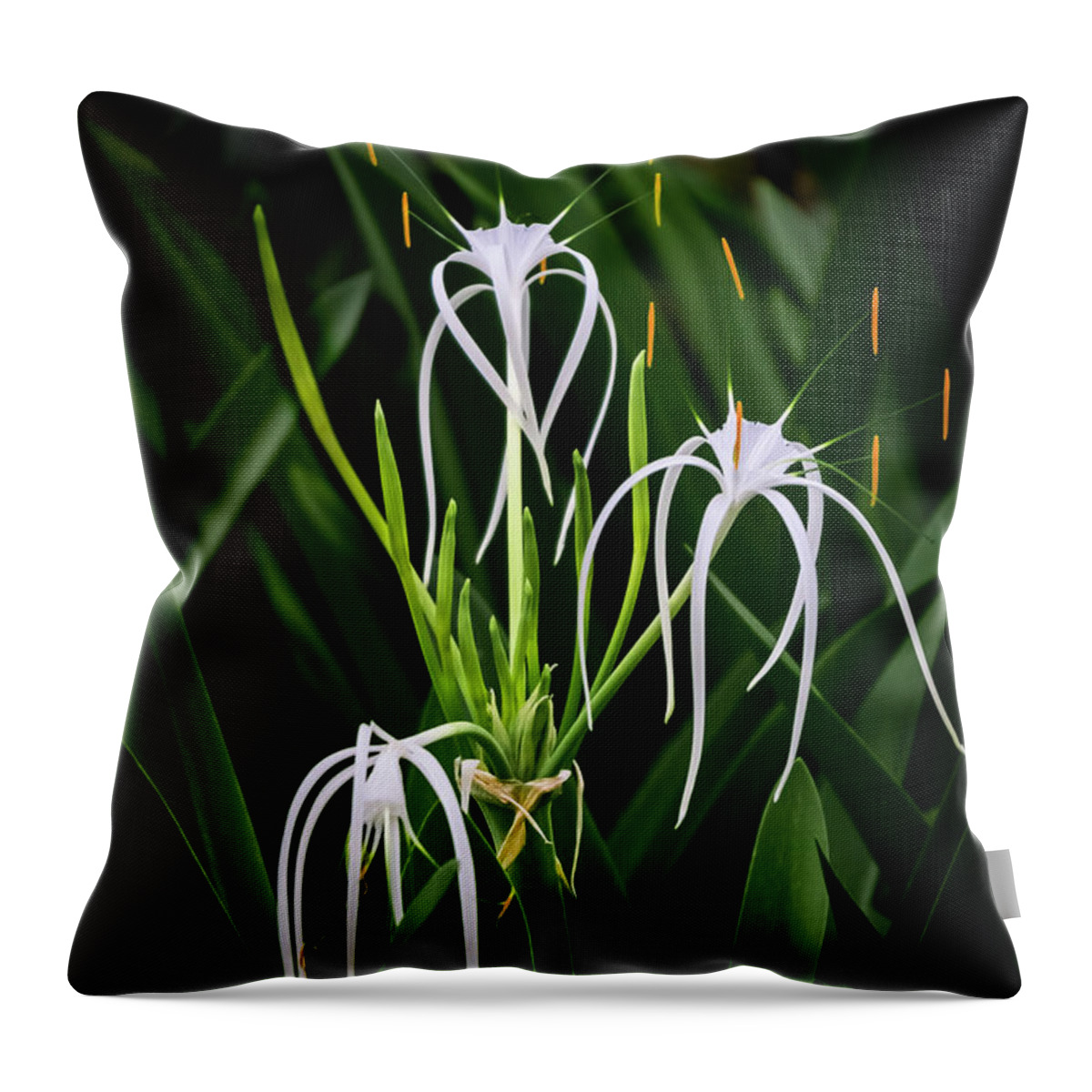Flowers Throw Pillow featuring the photograph Blooming Poetry 4 by Silvia Marcoschamer