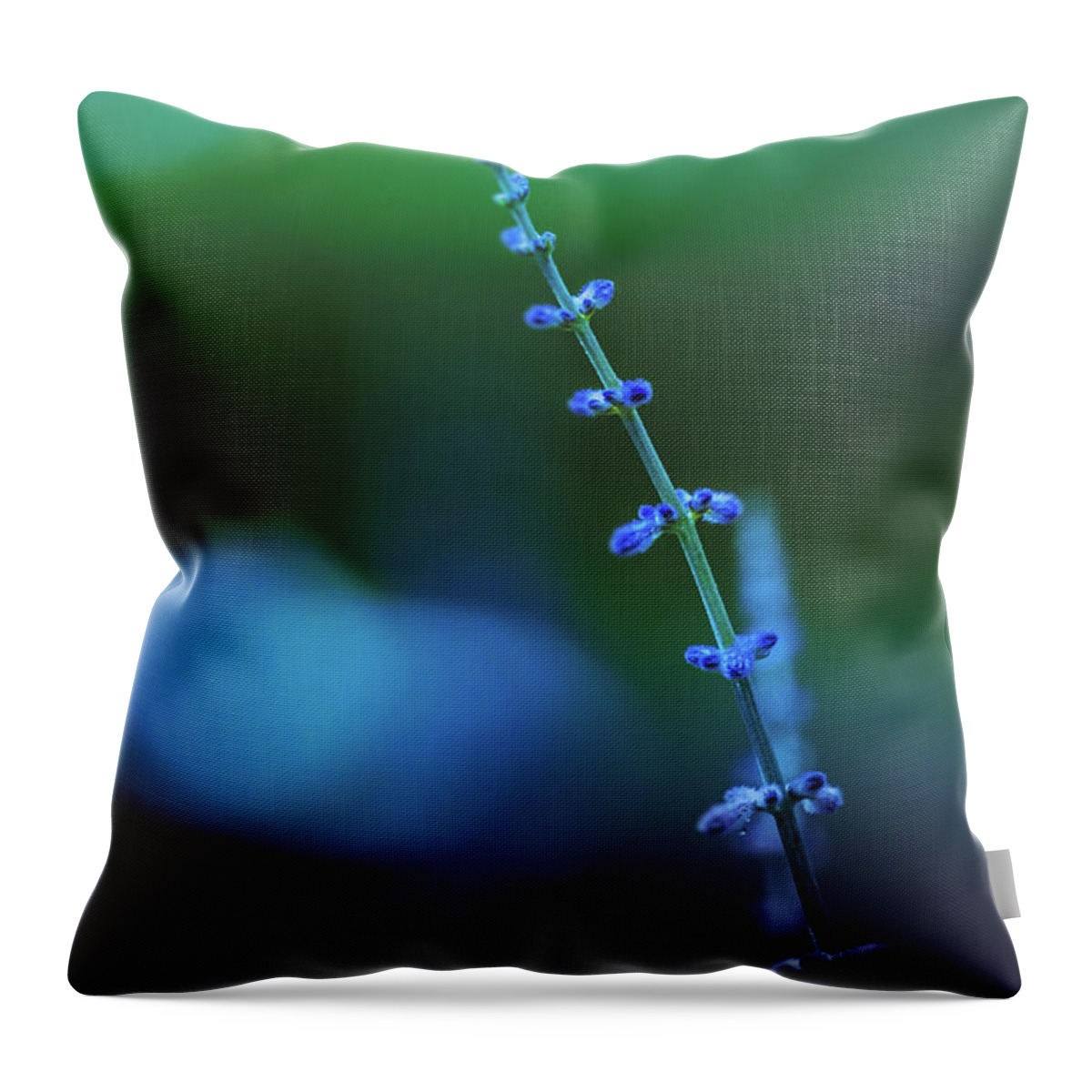 Summer Throw Pillow featuring the photograph Blue and Green by Allin Sorenson