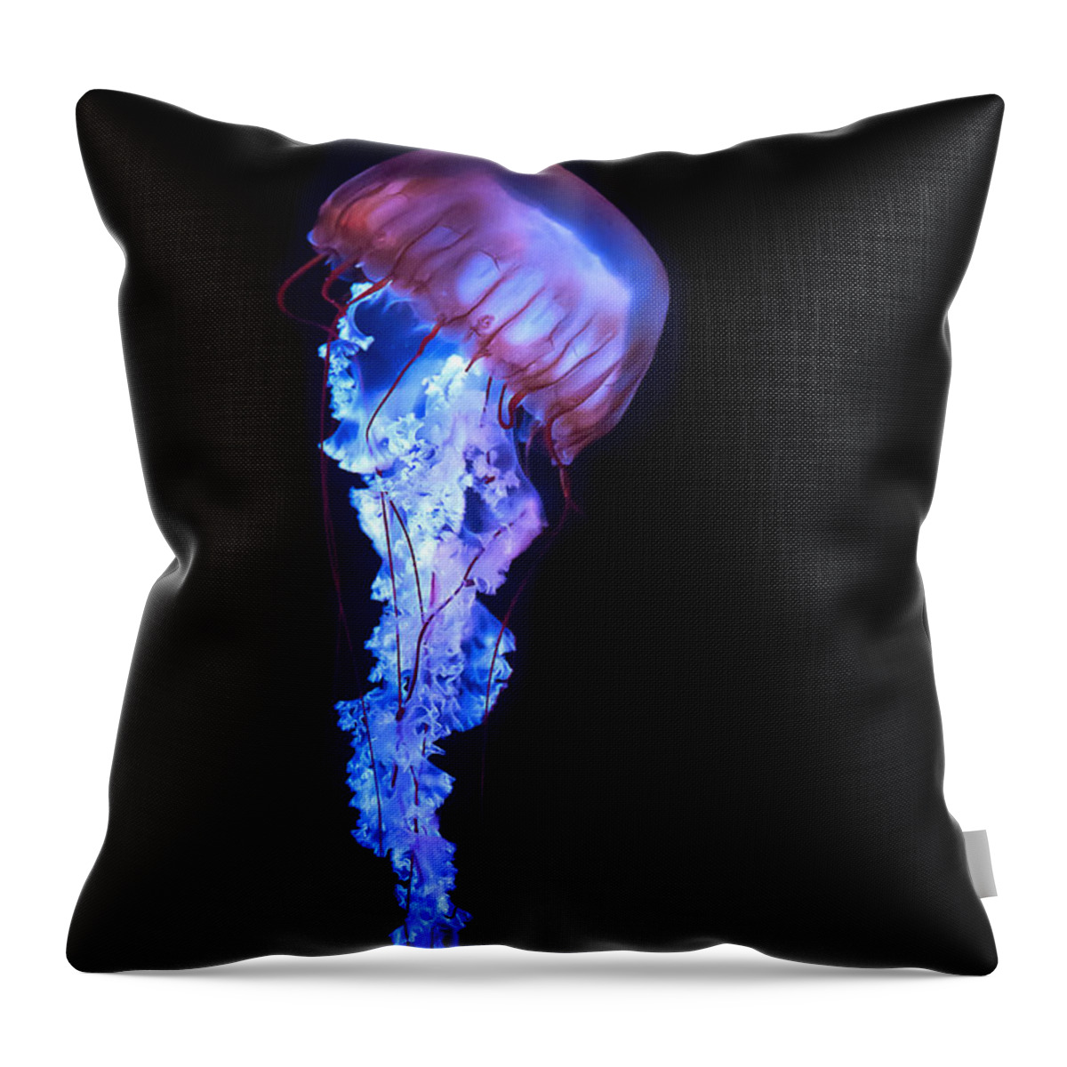 Underwater Throw Pillow featuring the photograph Blue And Purple Jellyfish by Maria Aiello