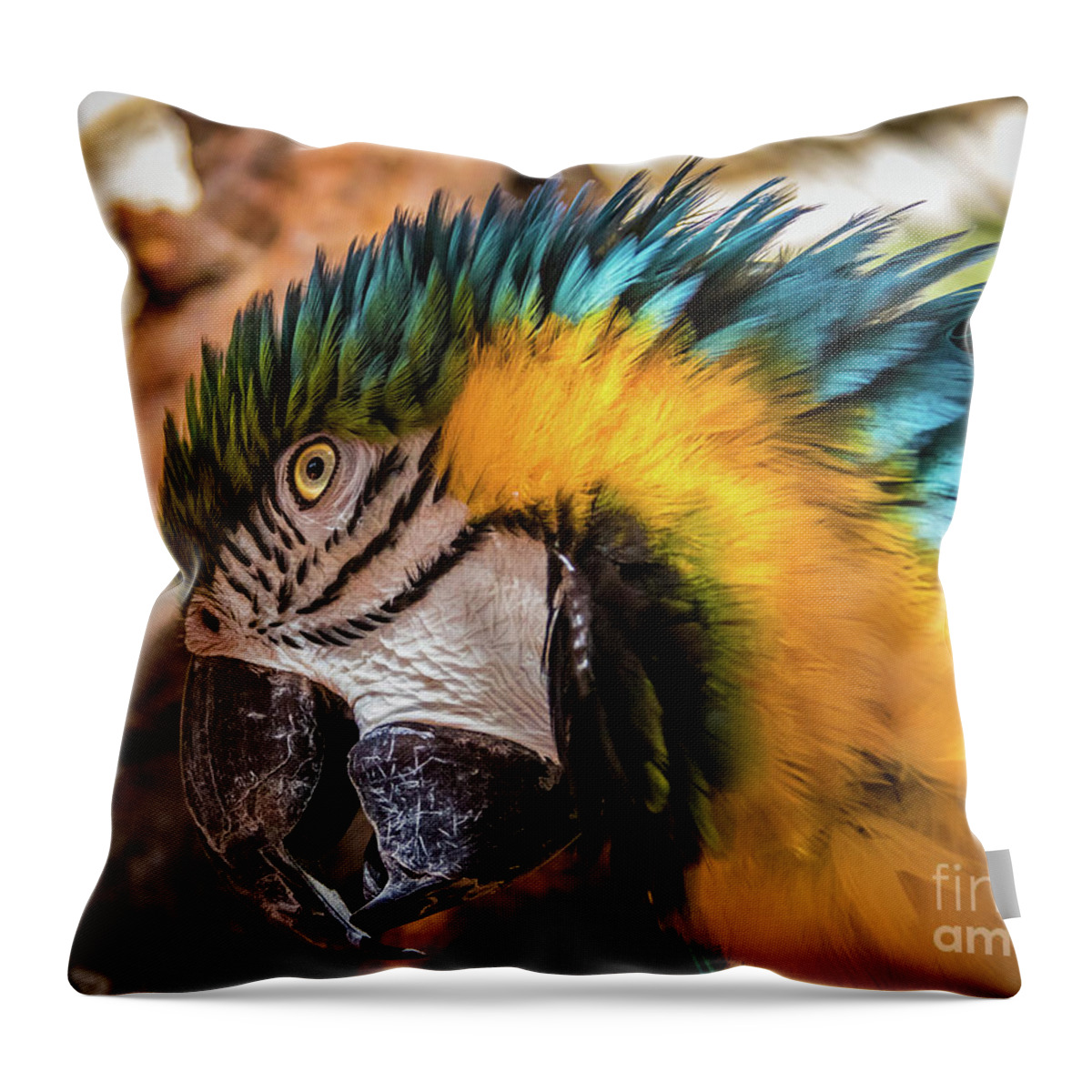 Macaw Throw Pillow featuring the photograph Blue and yellow macaw portrait by Lyl Dil Creations