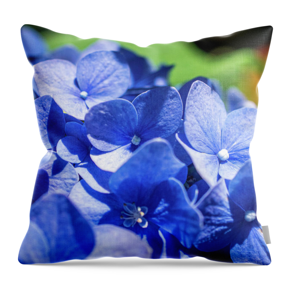 Blue Hydrangea Throw Pillow featuring the photograph Blue Beauty by Mary Ann Artz