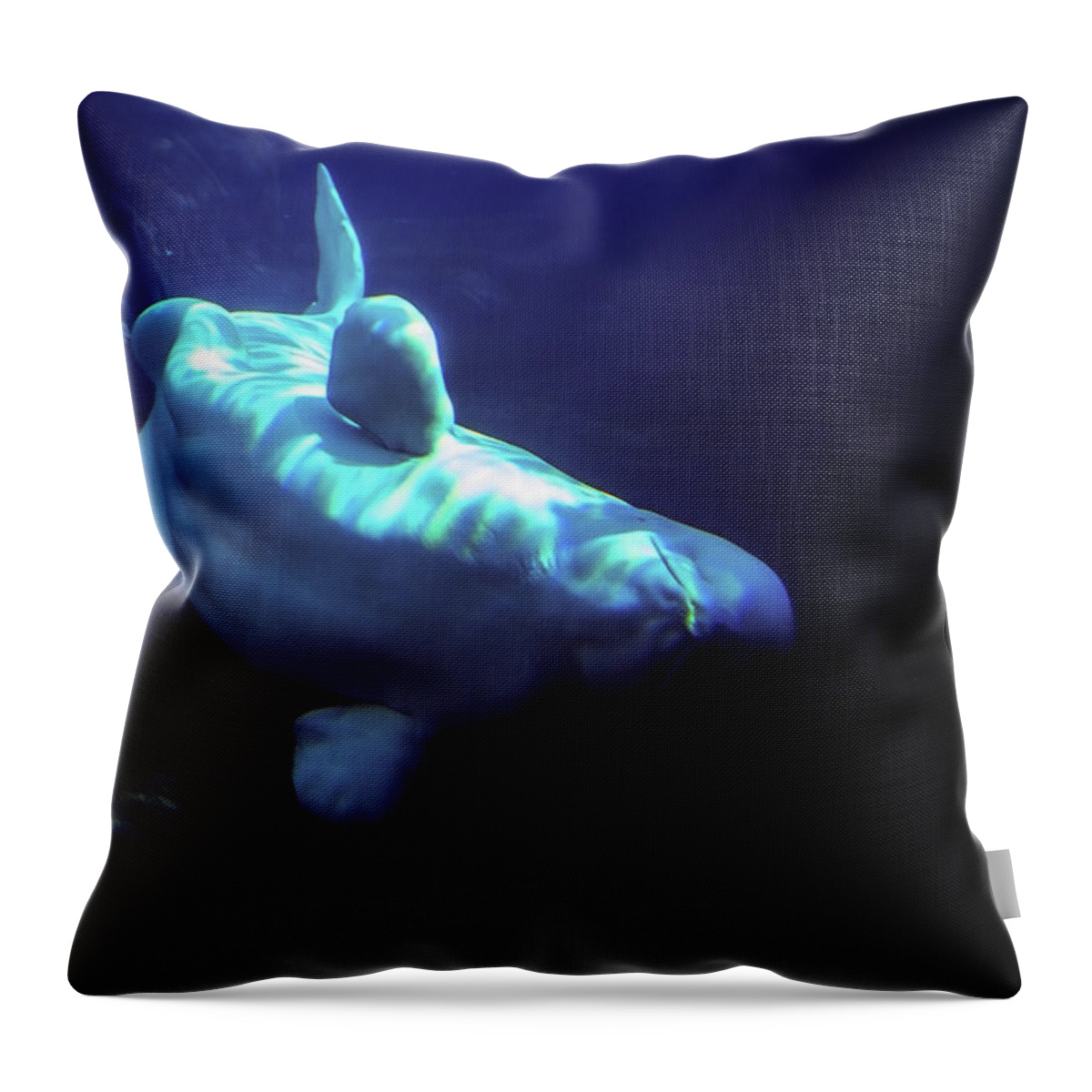 Whale Throw Pillow featuring the photograph Blue Beluga by Anthony Jones
