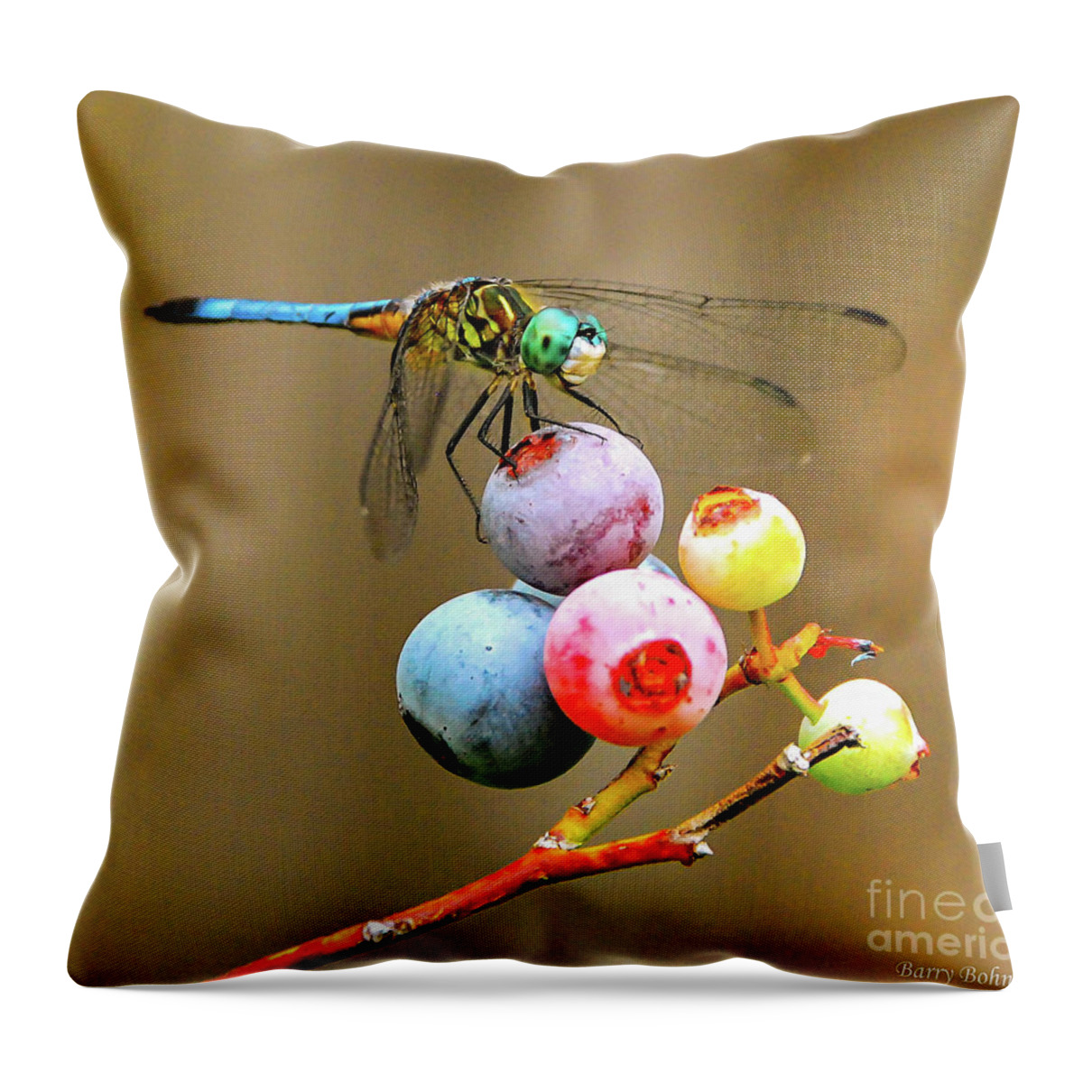 Dragonfly Throw Pillow featuring the photograph Blue dasher on blueberries by Barry Bohn