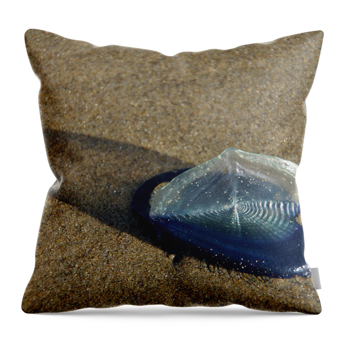 Blue Throw Pillow featuring the photograph Blue jellyfish by Steve Estvanik