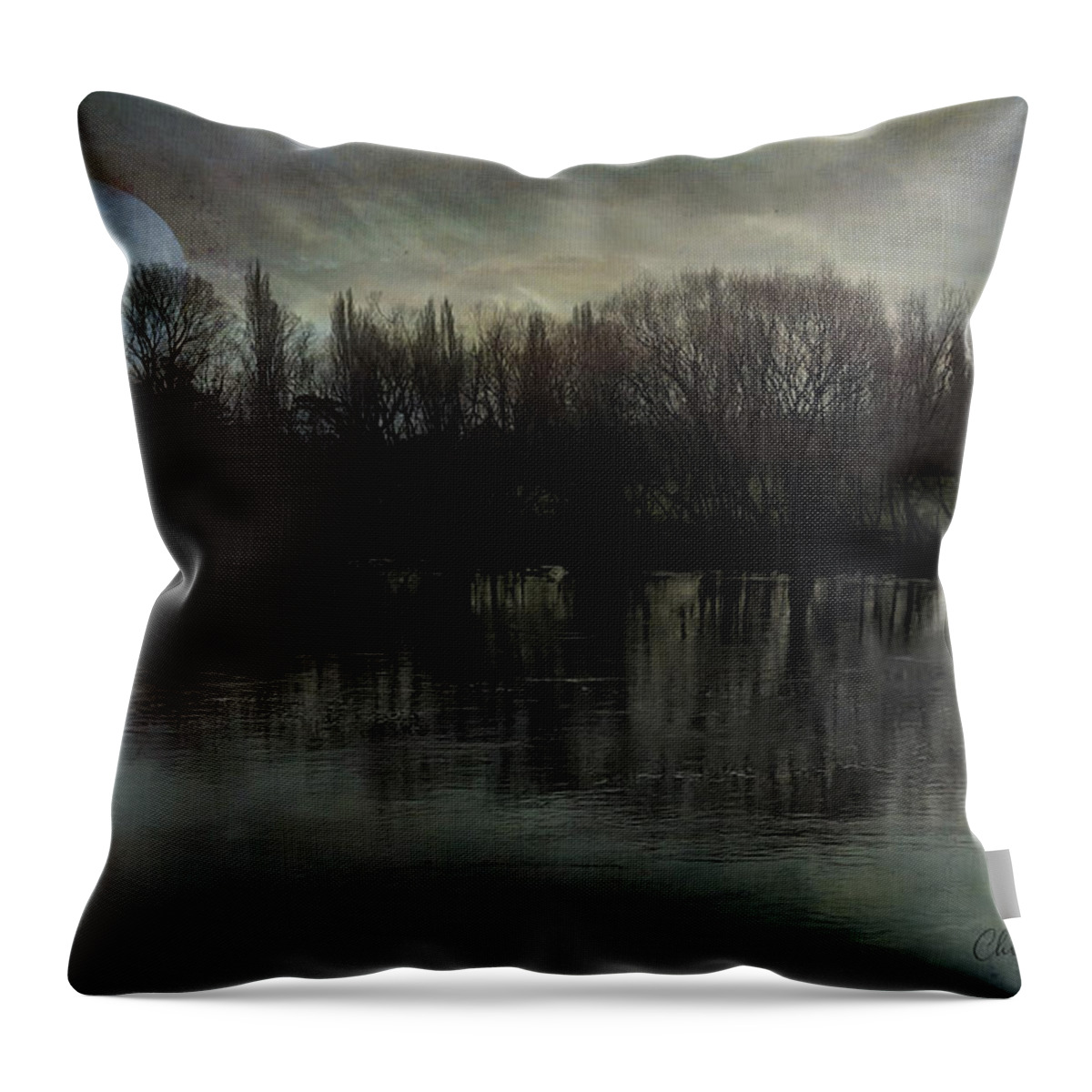 Monotone Throw Pillow featuring the photograph Blue Moon River by Chris Armytage
