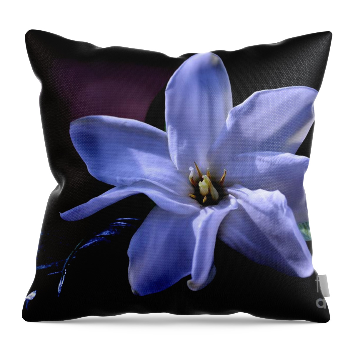 Flower Throw Pillow featuring the photograph Blue Spell by Lorenzo Cassina