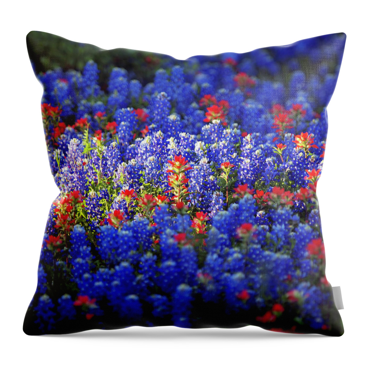 Bluebonnet Throw Pillow featuring the photograph Bluebonnets And Indian Paintbrush Wild by Sandra L. Grimm