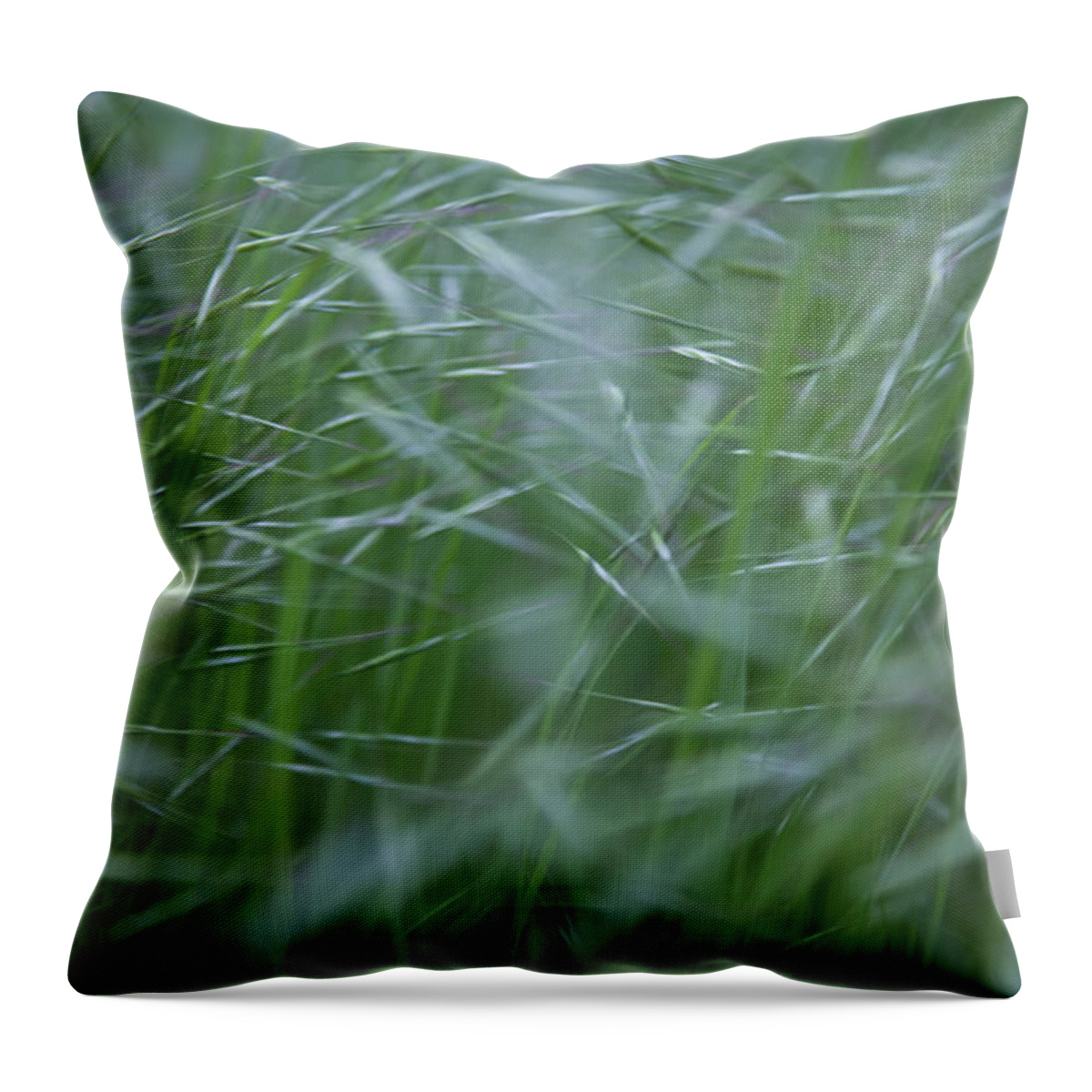Abstract Throw Pillow featuring the photograph Blurry Wheat by Maria Heyens