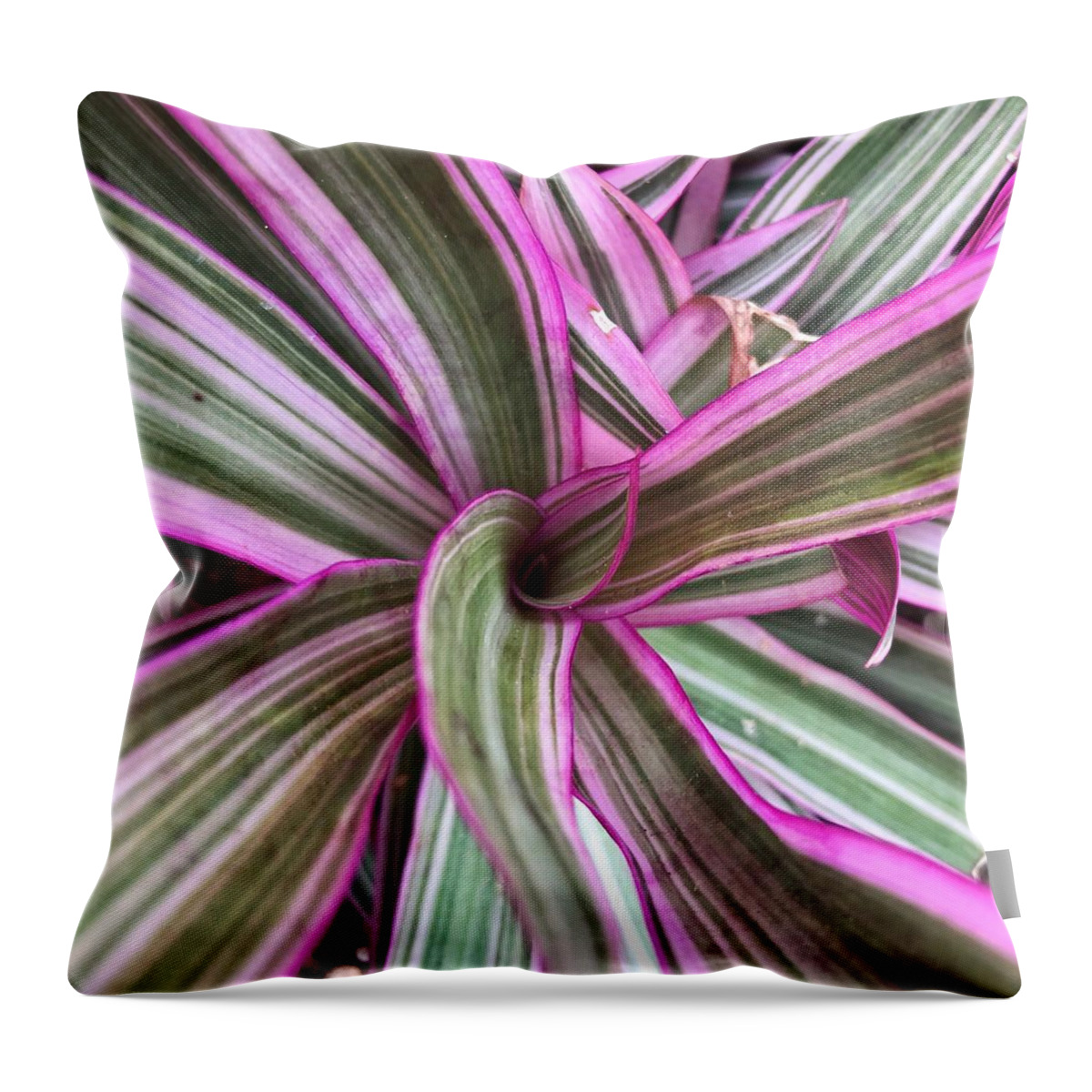 Boat Lily Throw Pillow featuring the photograph Boat Lily by Jori Reijonen