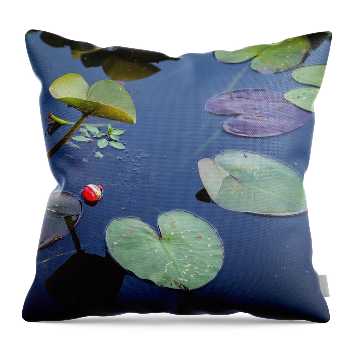 Red Throw Pillow featuring the photograph Bobber and Pads by Buck Buchanan