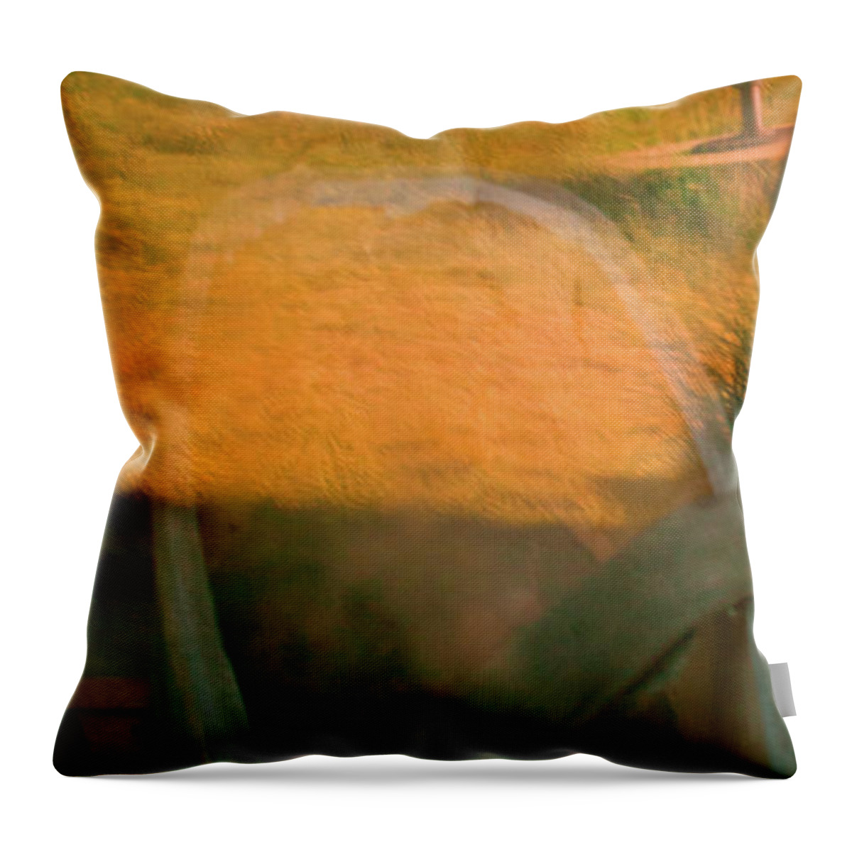 Reflections Throw Pillow featuring the photograph Bodie 4 by Catherine Sobredo