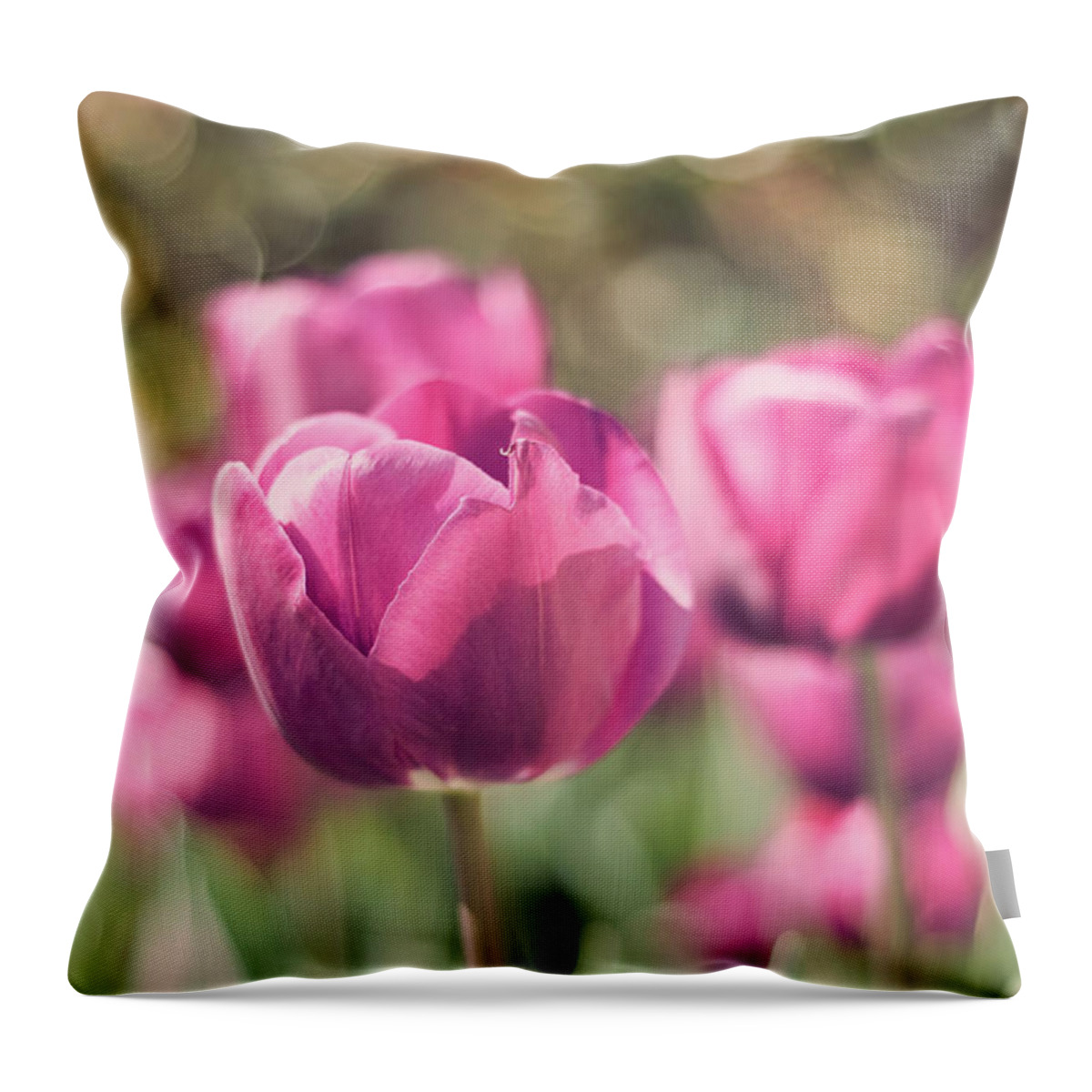 Petal Throw Pillow featuring the photograph Bokeh Of Pink Tulips In Botanic Garden by Miguel Sanz