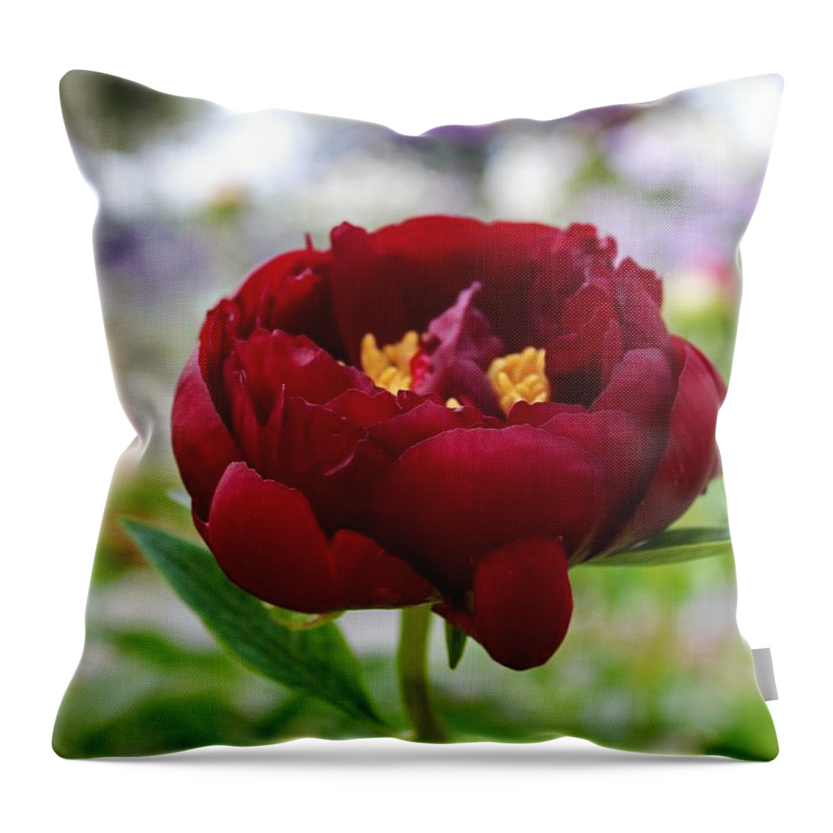 Peony Throw Pillow featuring the photograph Bold Garnet by Michiale Schneider