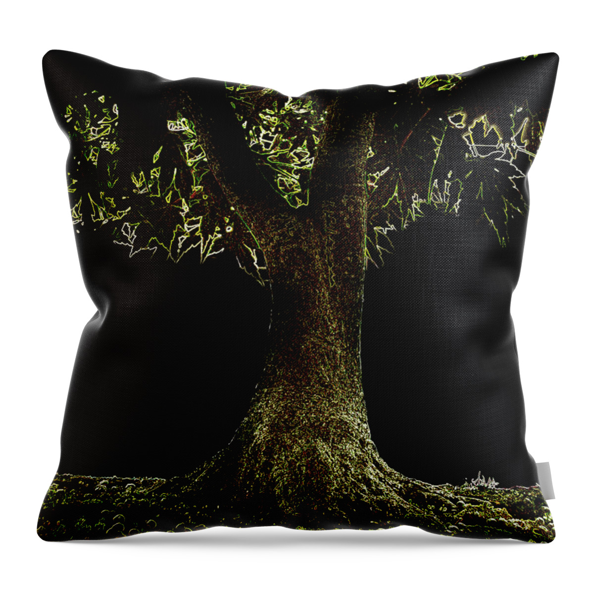 Outdoors Throw Pillow featuring the photograph Bonsai Tree With Moss At Night by Michael Duva