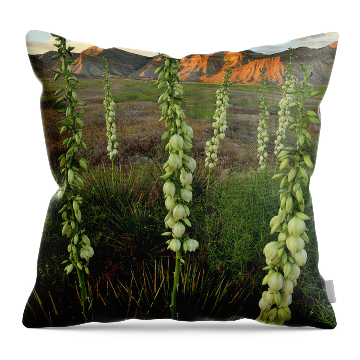 Book Cliffs Throw Pillow featuring the photograph Book Cliffs and Yuccas at Sunset by Ray Mathis
