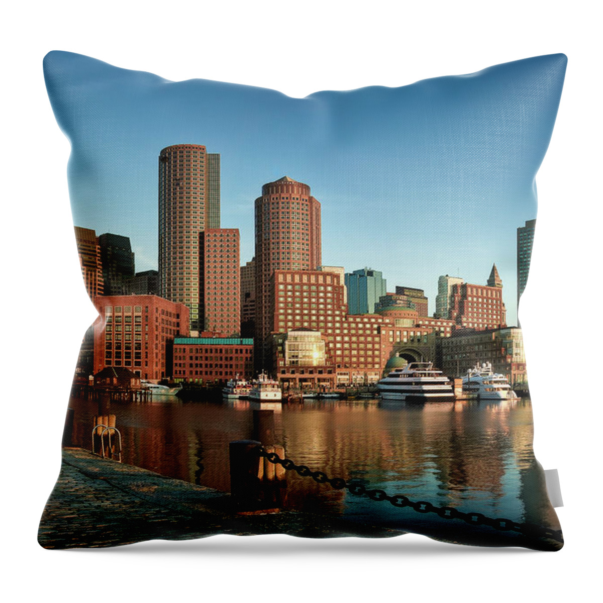 Outdoors Throw Pillow featuring the photograph Boston Morning Skyline by Sebastian Schlueter (sibbiblue)