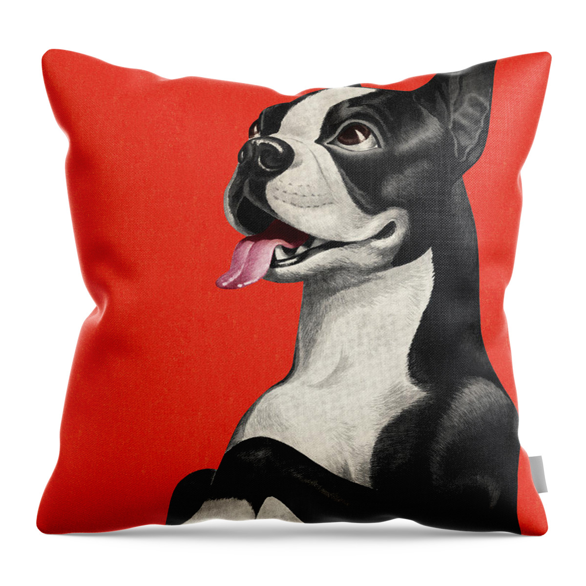 Animal Throw Pillow featuring the drawing Boston Terrier Begging by CSA Images