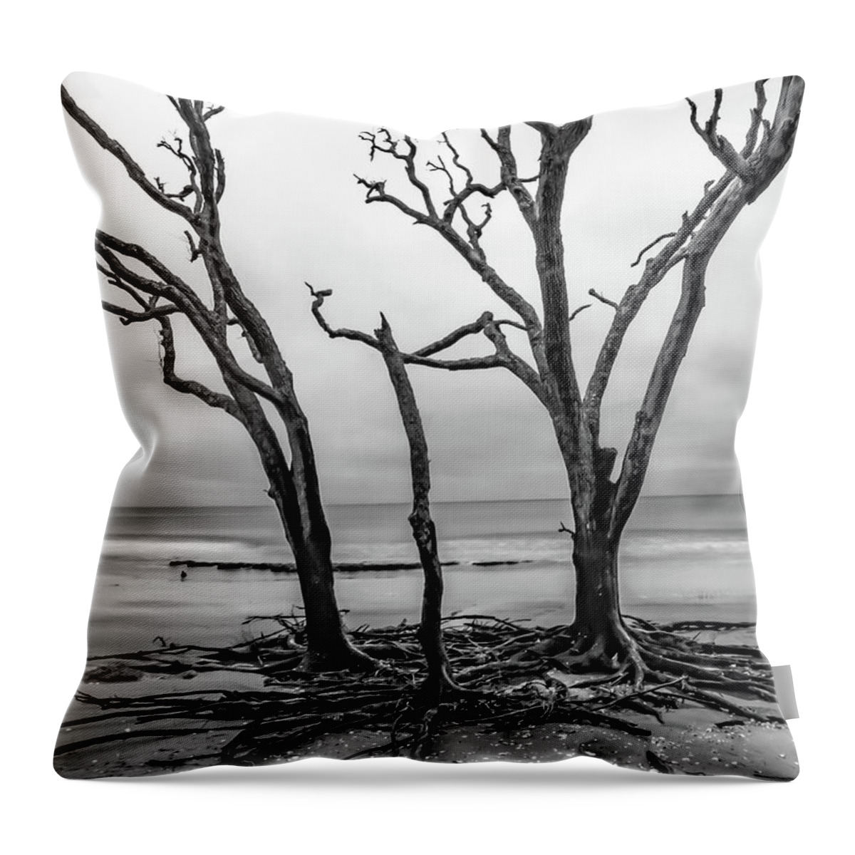 Botany Bay Throw Pillow featuring the photograph Botany Bay Trifecta by Norma Brandsberg