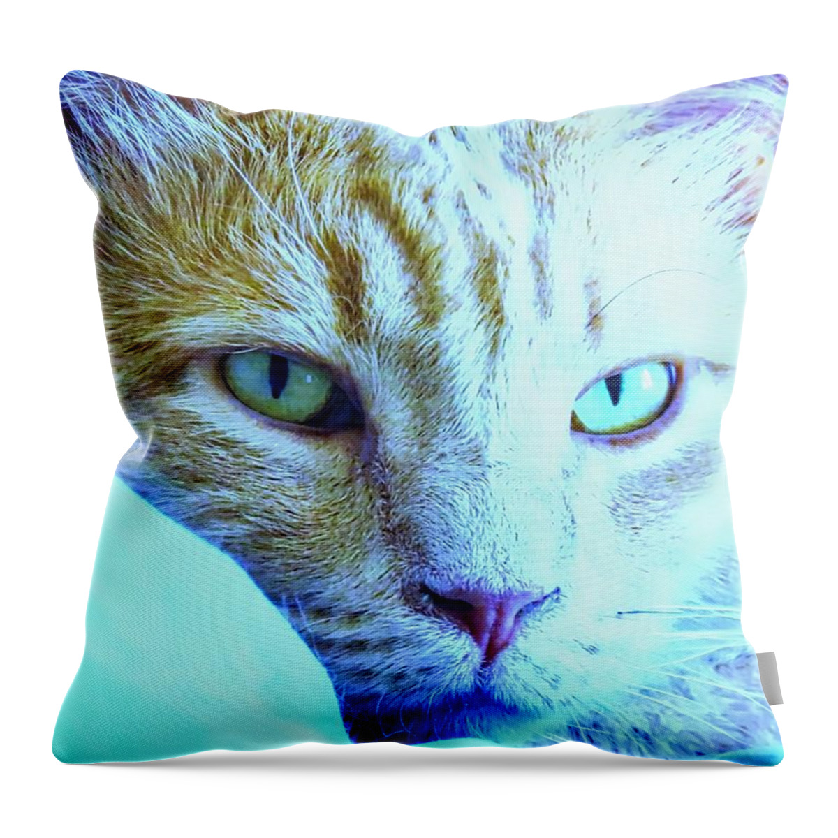 American Shorthair Throw Pillow featuring the photograph Pretty Sides by Judy Kennedy
