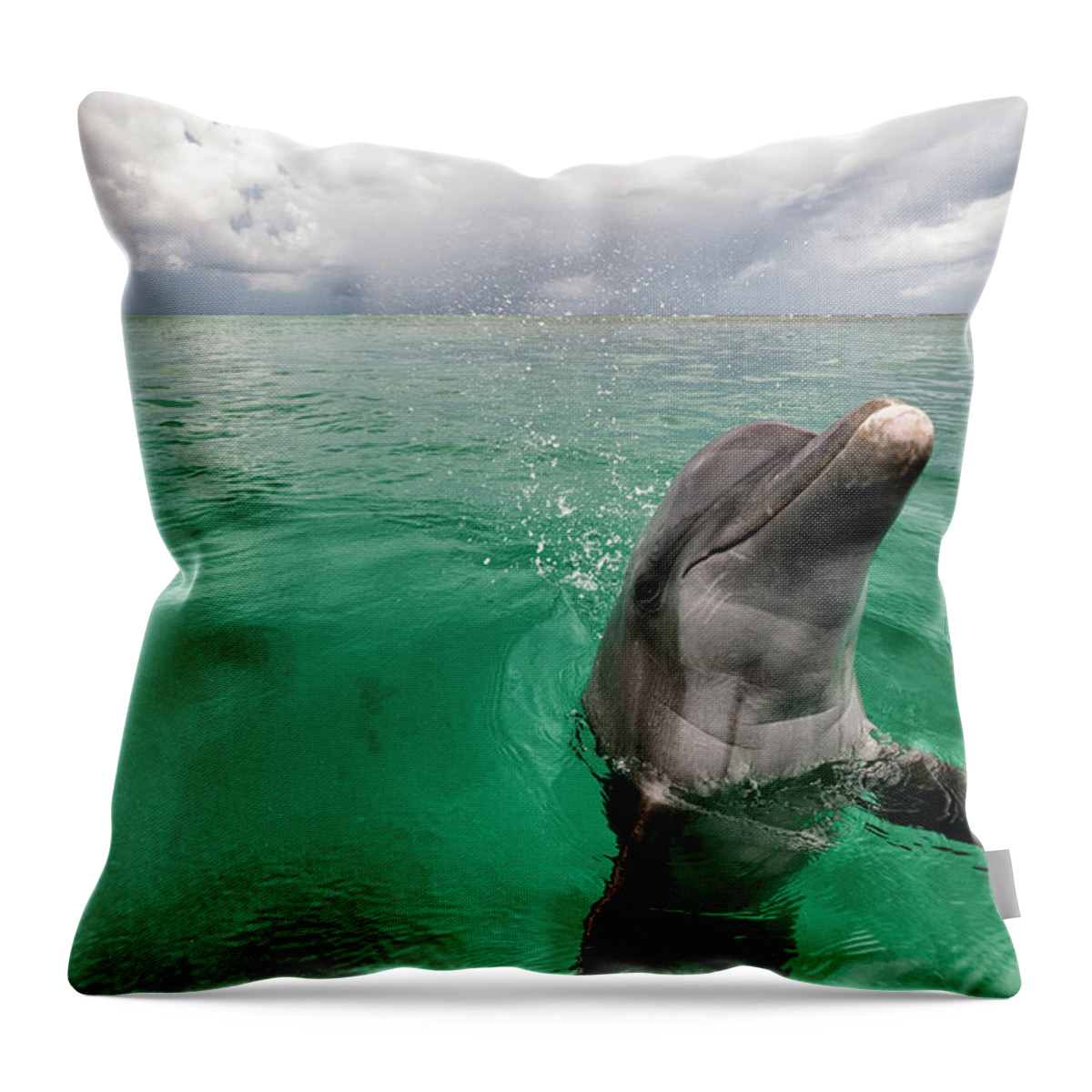 Scenics Throw Pillow featuring the photograph Bottlenose Dolphin In Shallow Water by Mike Hill