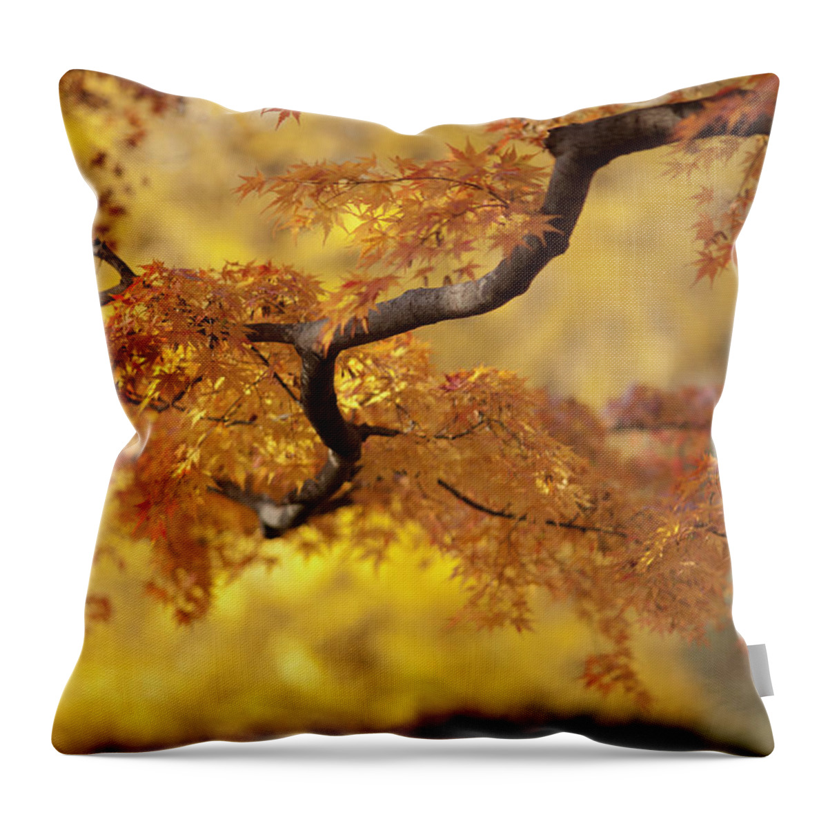 Orange Color Throw Pillow featuring the photograph Branch Of Japanese Maple In Autumn by Benjamin Torode