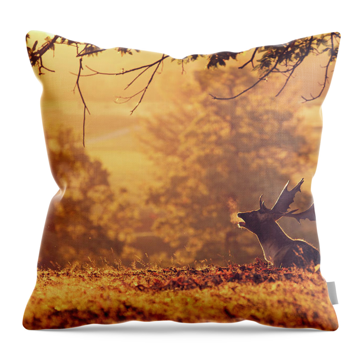 Kent Throw Pillow featuring the photograph Breath by Markbridger