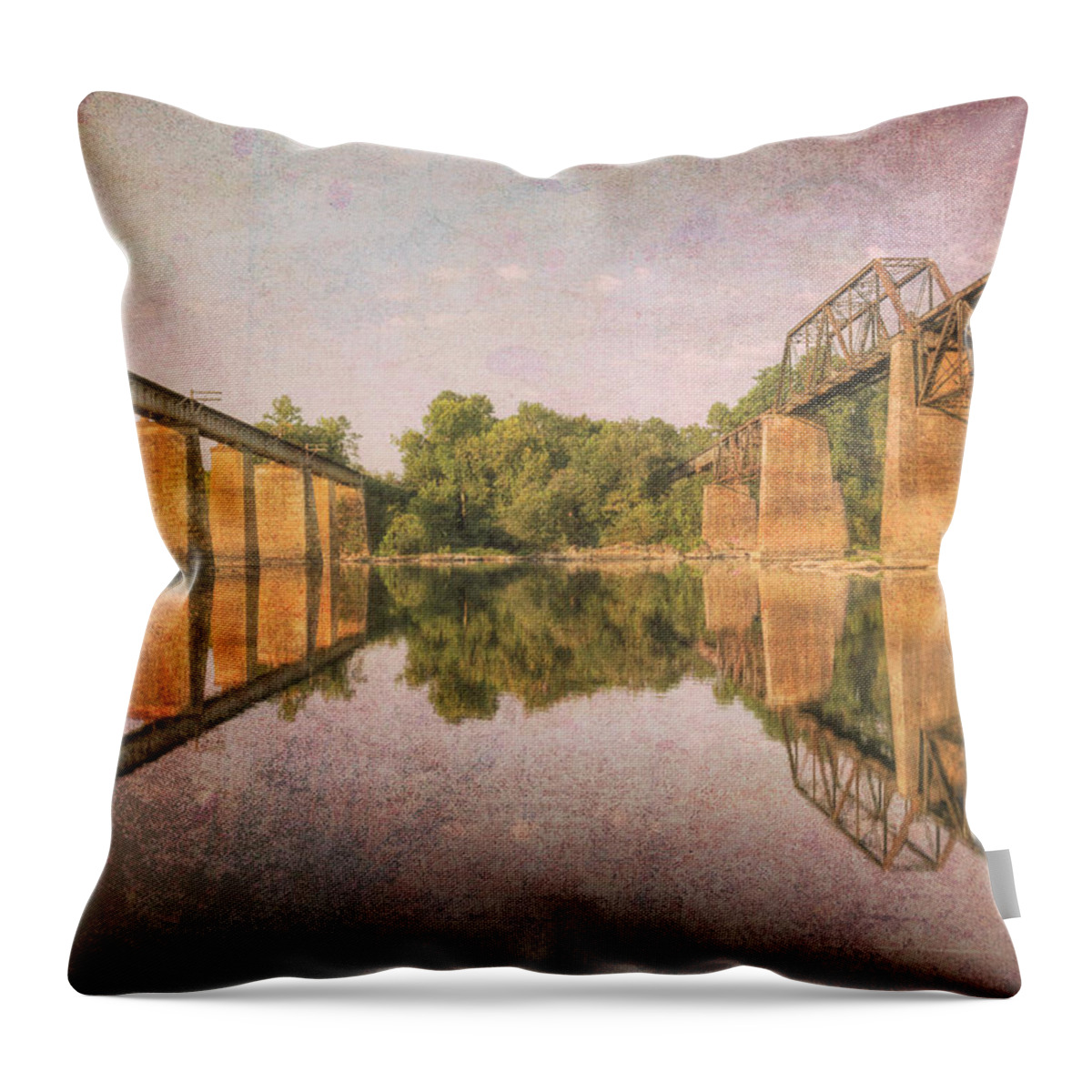 2010 Throw Pillow featuring the photograph Brickworks 13 by Charles Hite