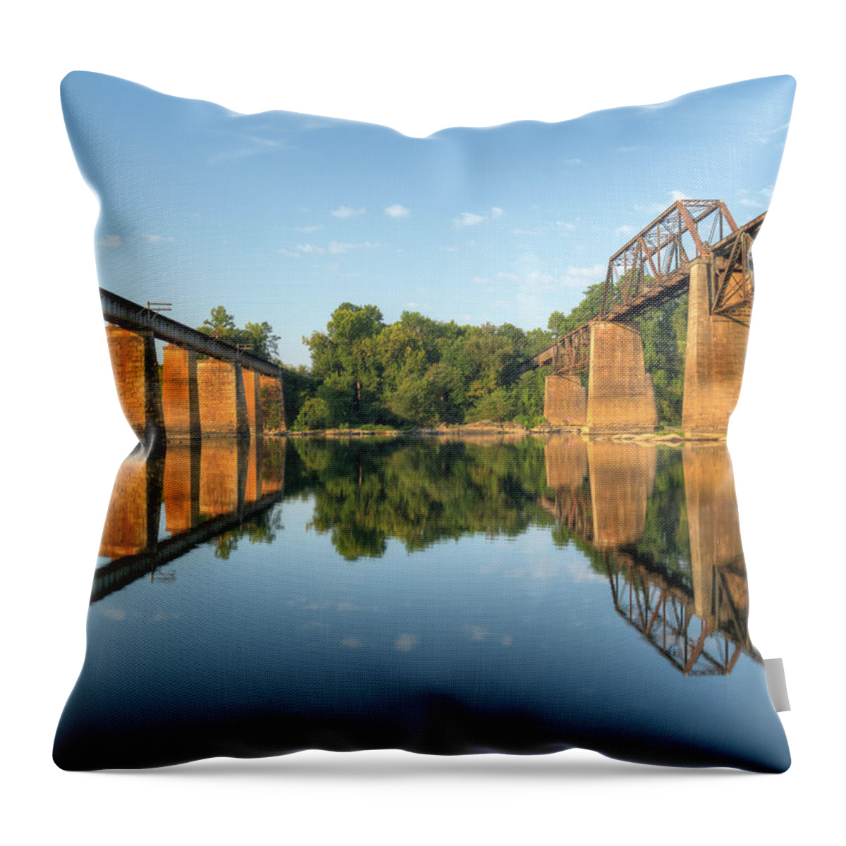 2010 Throw Pillow featuring the photograph Brickworks 14 by Charles Hite
