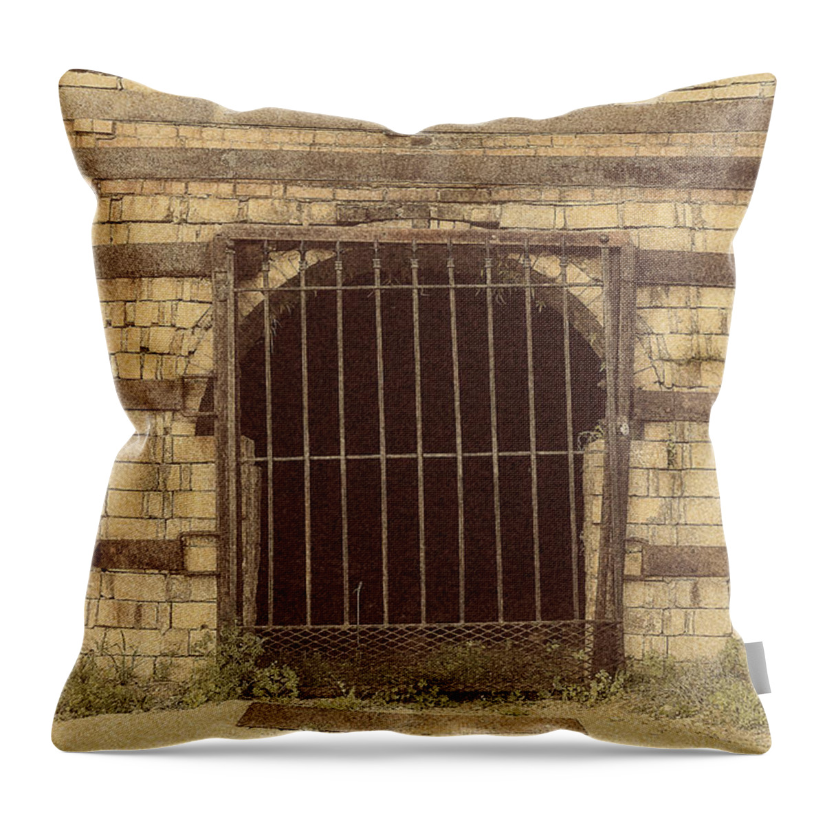 2014 Throw Pillow featuring the photograph Brickworks 34 by Charles Hite