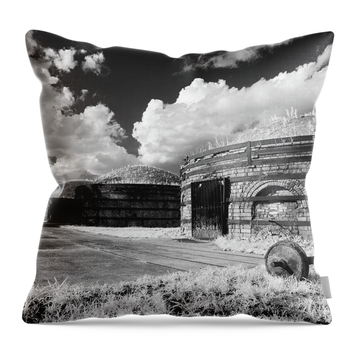 2016 Throw Pillow featuring the photograph Brickworks 52 by Charles Hite